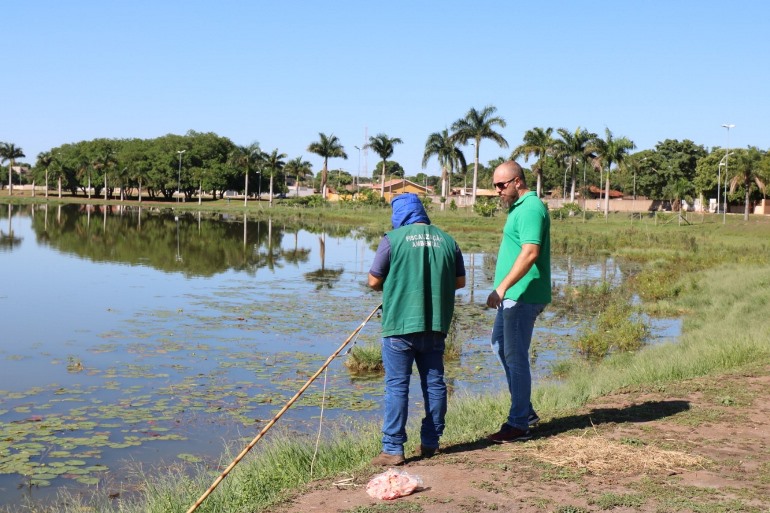 O trabalho para a retirada dos jacarés é realizado por  técnicos e servidores da Secretaria de Municipal de Meio Ambiente durante a noite e madrugada - Divulgação