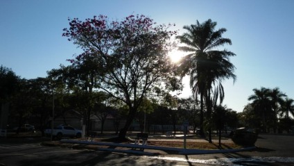 O frio será intenso em Paranaíba na primeira quinzena de julho - Talita Matsushita/JPNEWS