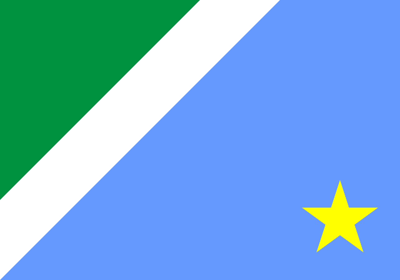 Atual bandeira de Mato Grosso do Sul - Reprodução