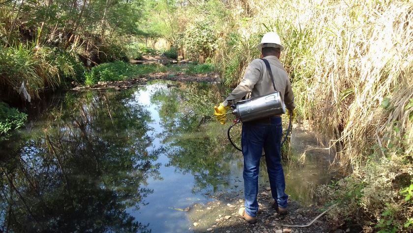 Infestação em imóveis vazios é elevada e preocupa representantes do Comitê da Dengue - Arquivo/JPNEWS