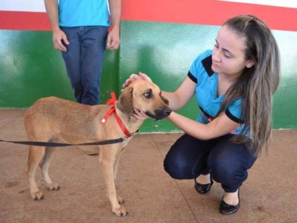 Associação Amigos dos Animais resgata animais abandonados que sofrem maus tratos - Divulgação/Facebook