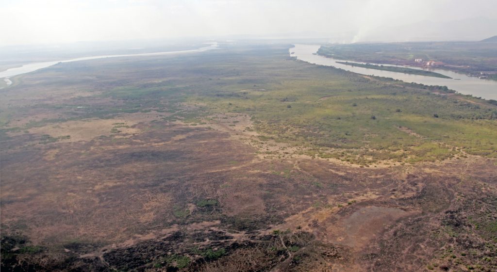 Pantanal é uma das regiões mais afetada pela falta de chuvas em MS - Divulgação/Portal do MS