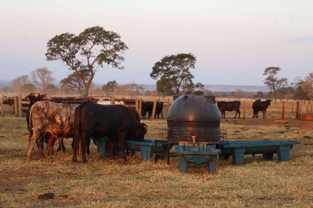 Propriedades devem fazer cadastro ambiental rural - CAR - Foto: Éder Campos