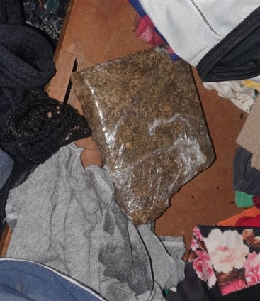 Droga apreendida durante operação - Foto: Divulgação