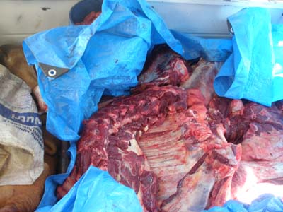 Carne apreendida nesta quarta-feira -