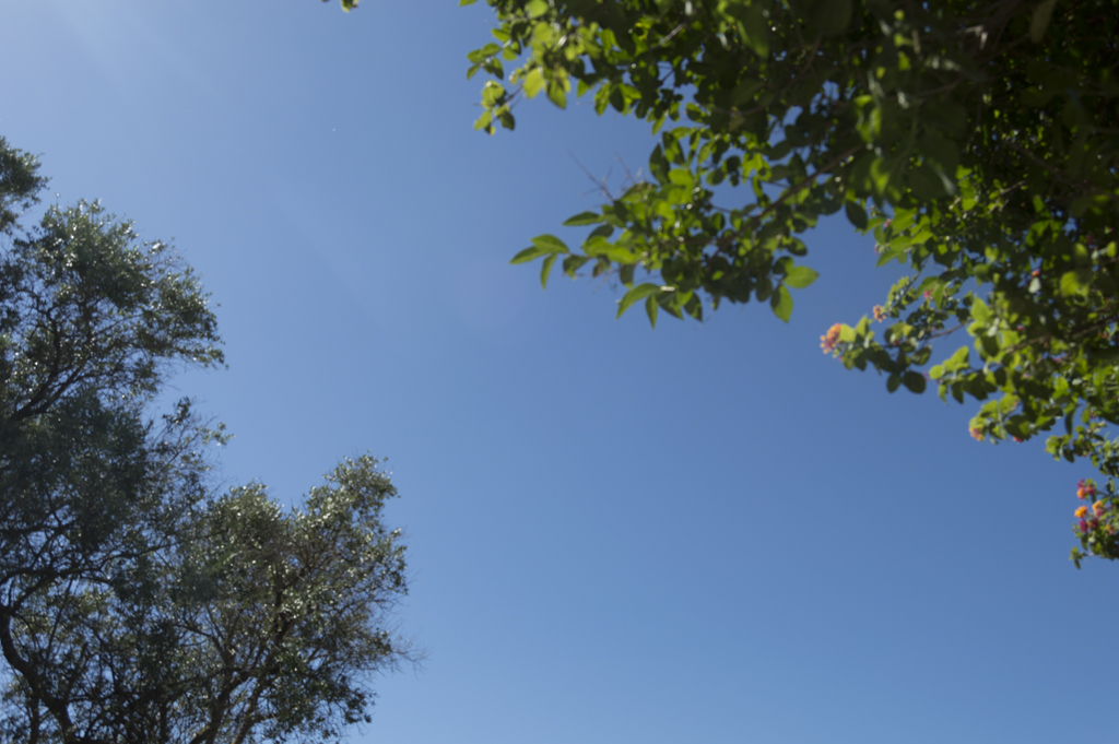 Dia será claro, com calor na região - Arquivo/JP Dia será claro, com calor na região - Arquivo/JP