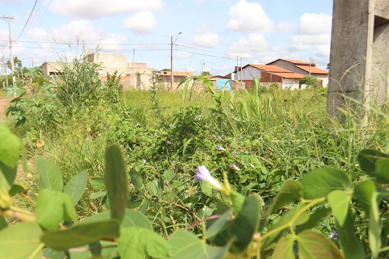 Terrenos baldios sujos causam transtornos aos moradores - Hugo Leal/JPNEWS