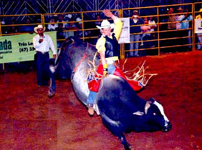 Montarias seguem hoje na Expotrês -