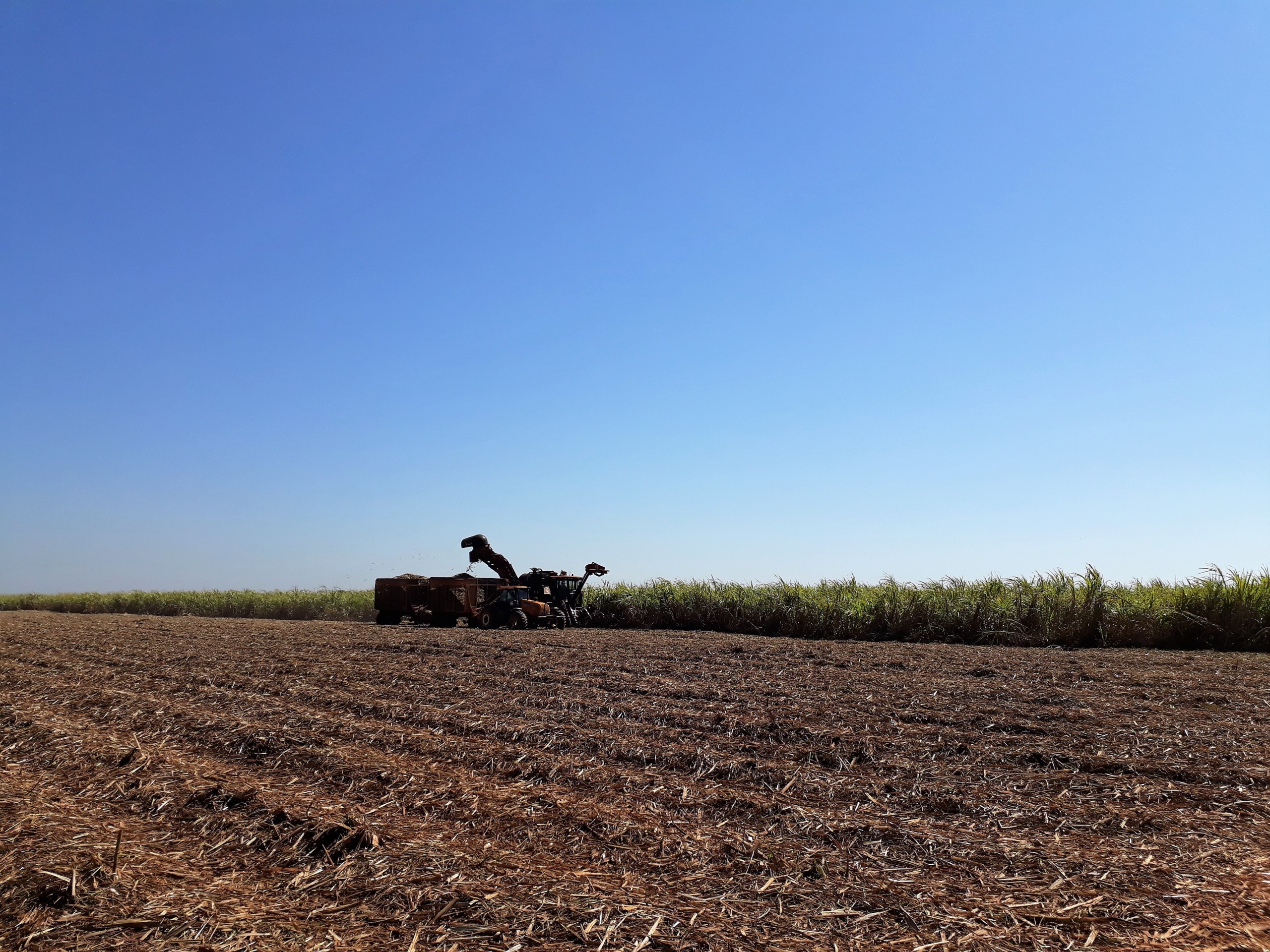 Moagem da cana em Mato Grosso do Sul chegou a 45 milhões de toneladas em dezembro - Biosul