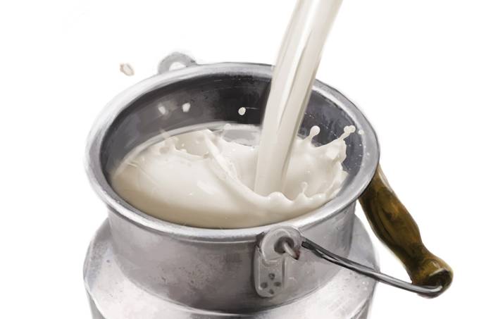 Ferver o leite mata o micro-organismo da tuberculose? Ferver o leite mata o micro-organismo da tuberculose?