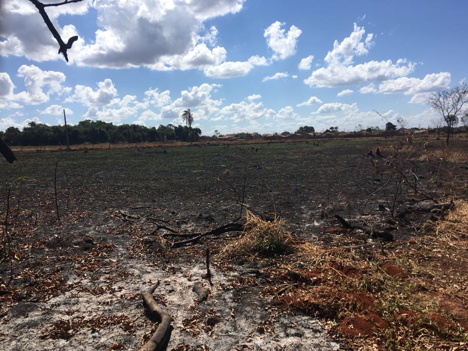 Número de queimadas em terrenos baldios em Três Lagoas aumentou 141% - Reprodução /Facebook