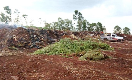 Local virou lixão a céu aberto - Talita Matsushita/JPNEWS