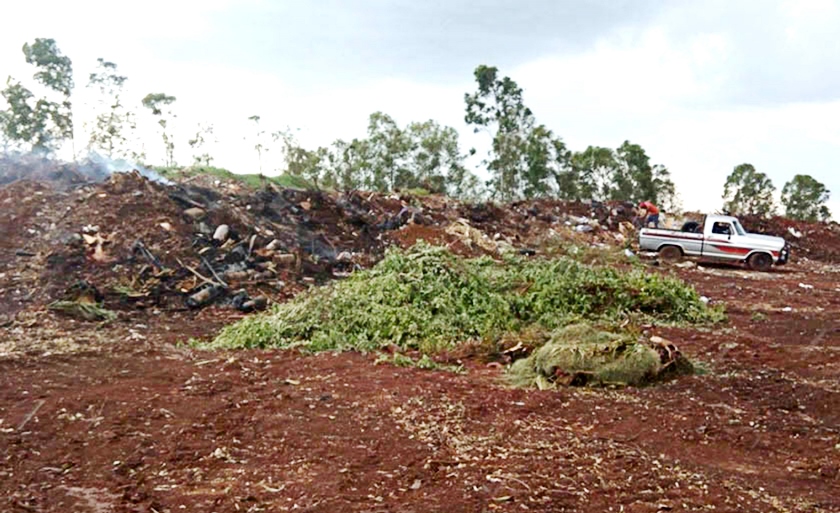 Local virou lixão a céu aberto - Talita Matsushita/JPNEWS