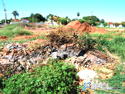 Mato e sujeira tomam conta de terrenos baldios -