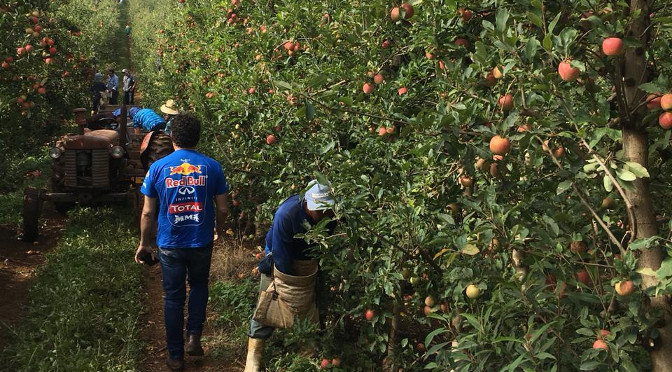 Fundação espera contratação de 5 mil índigenas para 2019 - Divulgação/ Governo