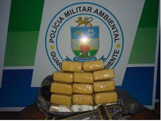 A PMA já apreendeu 1.083 kg da droga neste ano - Divulgação PMA