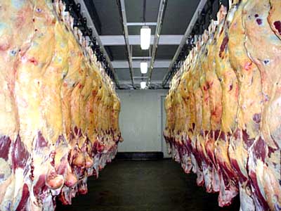 Centro-Oeste, responsável por 35% do abate nacional de bovinos no trimestre, apresentou queda de 2,3% -