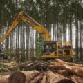 Casa do Trabalhador e Fatec Senai oferecem cursos para o setor florestal em Três Lagoas