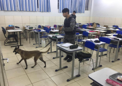 PMs vasculharam as salas de aulas com auxílio da cachorra Mara - Divulgação/PM