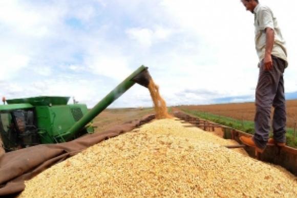 As três principais lavouras de grãos do país deverão ter crescimento neste ano: soja (17,2%), arroz (14,7%) e milho (52,3%) - EBC