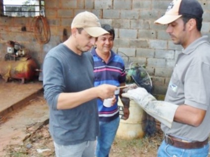 Diminuição destes índices foi devido ao constante trabalho de orientação e educação sanitária com os produtores e trabalhadores do campo. - Divulgação/Assessoria