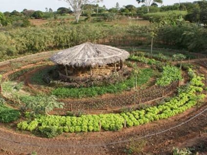 Modelo estimula a agroecologia em assentamentos - Ilustração