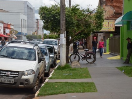 Comerciantes e população têm até o dia 30 de maio para disponibilizar local para plantio - Divulgação