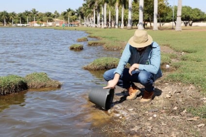 Peixes foram recolhidos para exames - Imagem cedida Peixes foram recolhidos para exames - Imagem cedida
