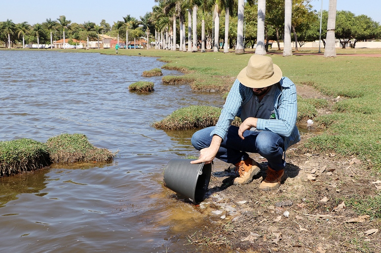 Peixes foram recolhidos para exames - Imagem cedida