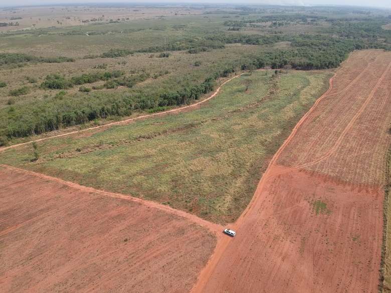 Área de Mata Atlântica destruída em Batayporã foi de quase 9 hectares - Divulgação PMA