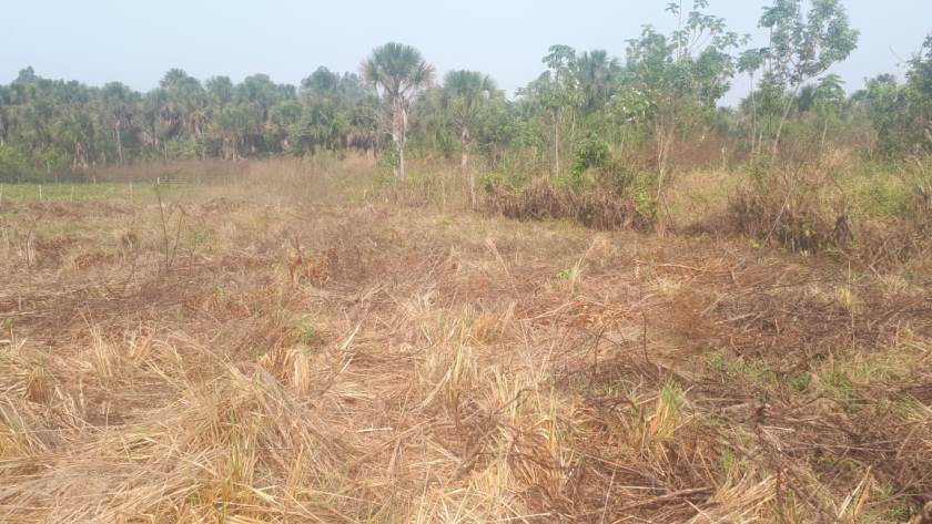 A demarcação da área de pastagem não cumpria o que determina a lei, avançando 20 metros para dentro de área protegida - Divulgação/Polícia Militar Ambiental