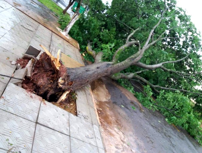 Tempestade já fez estragos em diversas cidades do Estado - Divulgação