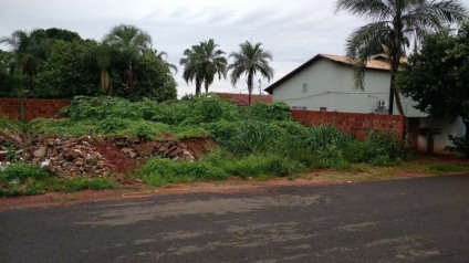 Dono de terreno tem prazo que vence na próxima terça para a limpeza do terreno, diz Vigilância - Lucas dos Anjos/JPNEWS