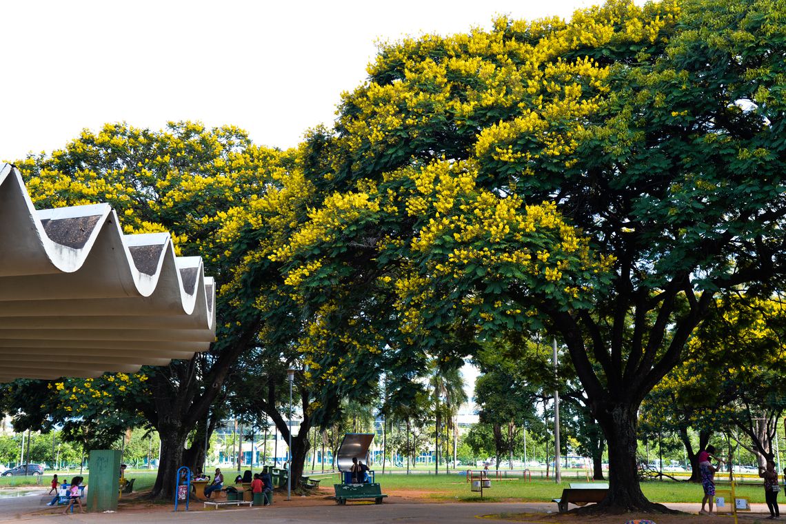 Estudo demonstra como relação com a natureza pode ser um elemento de promoção da saúde. - Valter Campanato/Agência Brasil