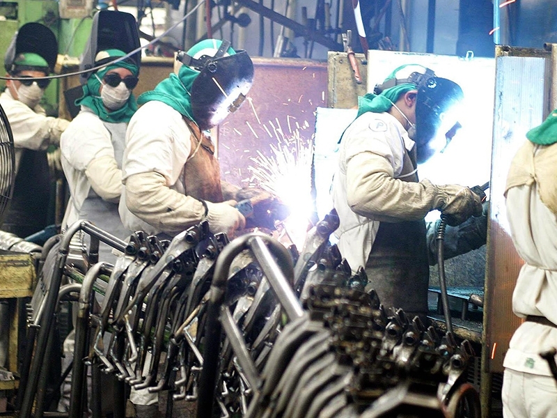 - Divulgação - Divulgação