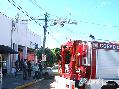 Um Gol e um Fiat tiveram os vidros danificados. Ninguém ficou ferido -