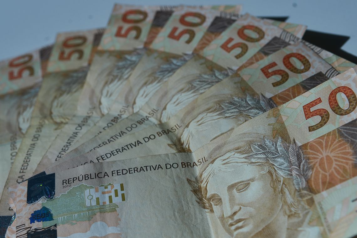 Fatia dos títulos prefixados deverá encerrar o ano entre 29% e 33% da DPF - Divulgação/ Agência Brasil