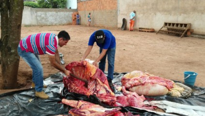 Parte dos animal eram divididas em cima de uma lona plástica, no chão - Celso Daniel/TVC