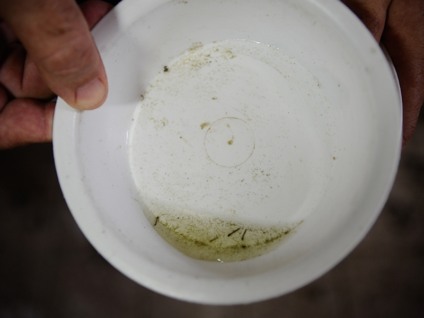Agentes da Secretaria Municipal de Saúde do Rio de Janeiro começaram esta semana a promover mutirões para identificar focos do mosquito Aedes aegypti - Tânia Rêgo/Agência Brasil