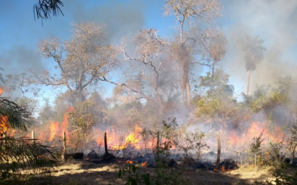 Incêndio de grandes proporções, controlado pelos bombeiros e peões, atingiu três fazendas na Nhecolândia. - Divulgação