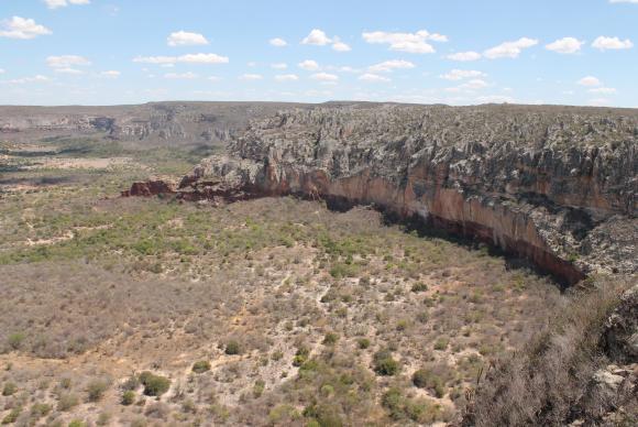 Um dos biomas brasileiros menos estudados no país, a Caatinga se estende por dez estados e compreende 10% do território nacional, com 844 mil quilômetros quadrados - Divulgação/Fundaj