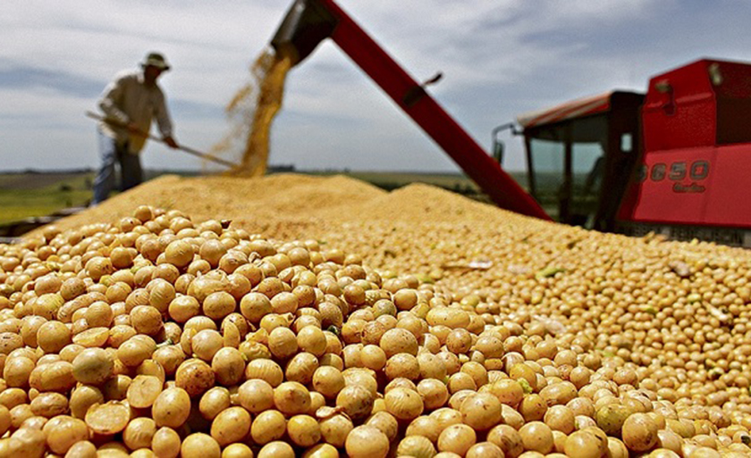 Estado acumula perdas de mais de R$ 8 bilhões desde a edição da Lei Kandir há 22 anos. Regulamentação dos repasses foi determinada ao Congresso Nacional pelo STF - Divulgação/Agência Brasil