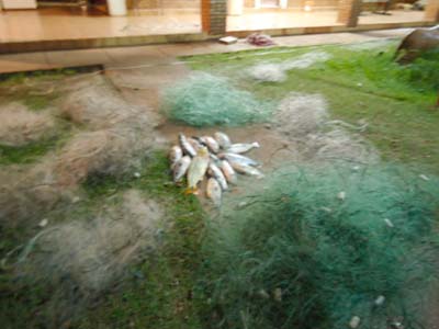 Material apreendido pela PMA -