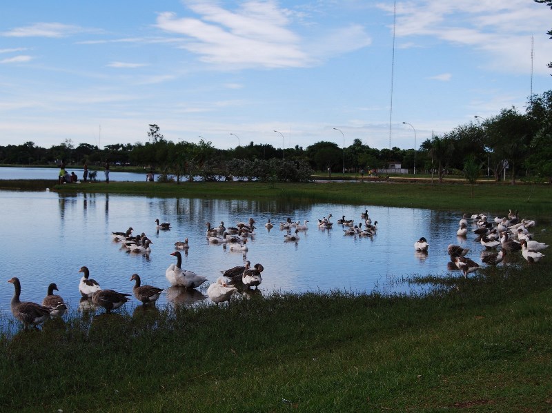 Intenção da prefeitura é garantir acesso a recursos recolhidos por geração de impacto ambiental - Arquivo/JP