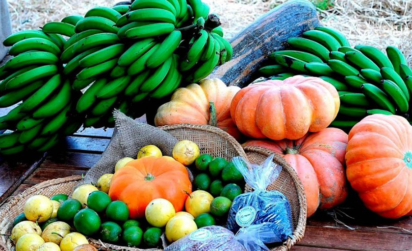 Cada escola estadual tem autonomia para especificar os produtos que serão adquiridos - Divulgação/Agraer