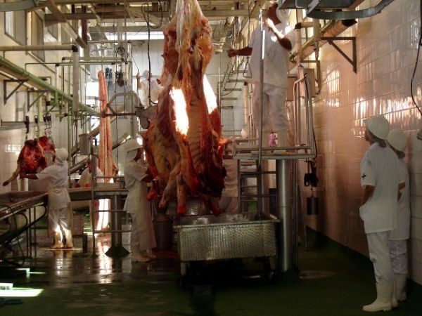 Divulgação - Divulgação -