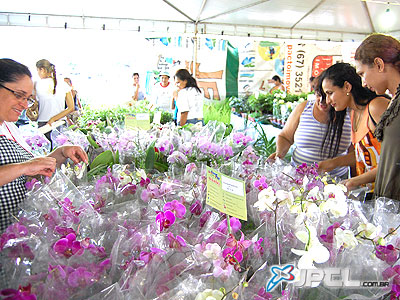 Mais de mil pessoas passaram pela Expoflor apenas no dia de abertura do evento -