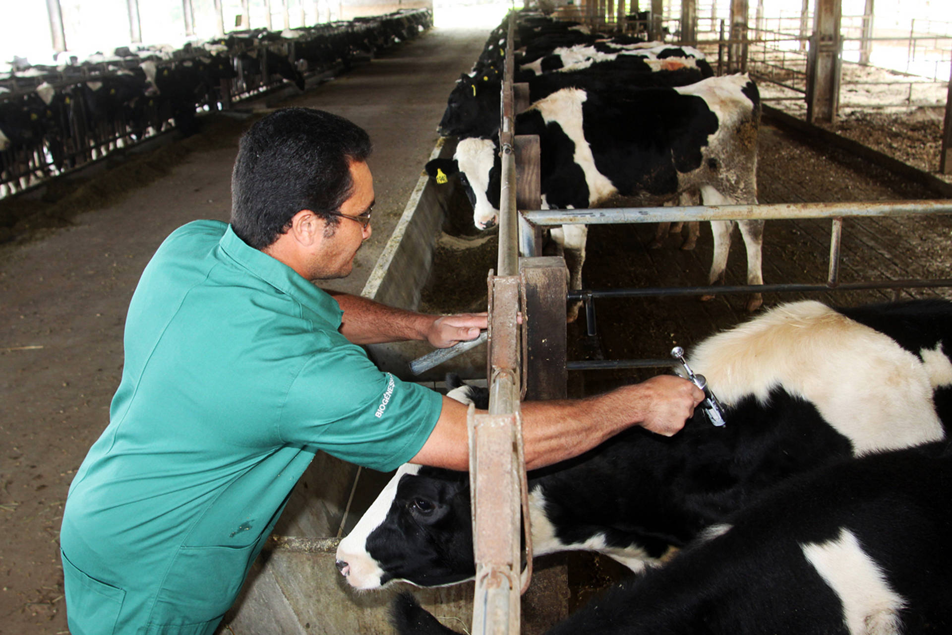 O Ministério deverá determinar restrições à entrada de animais de outros estados no Paraná - Jonas Oliveira