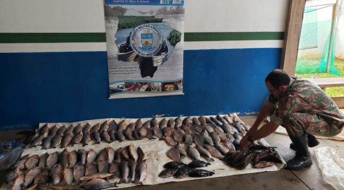 PMA registrou neste neste ano uma redução de 18,75% das infrações ambientais - Divulgação/PMA PMA registrou neste neste ano uma redução de 18,75% das infrações ambientais - Divulgação/PMA