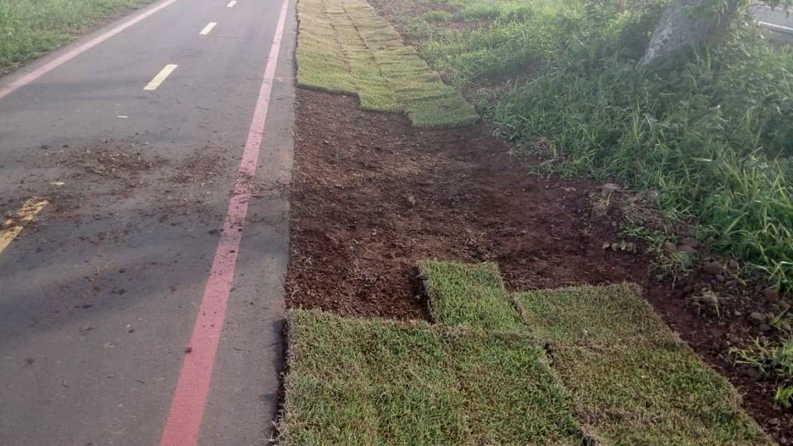 Grama foi plantada às margens de ciclovia no município - Reprodução/internet